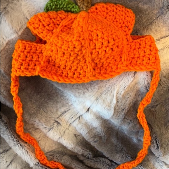 NWOT Handmade Pumpkin Dog Hat - Picture 2 of 3
